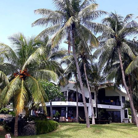 La Maison De La Plage - Guest House Albion Dış mekan fotoğraf