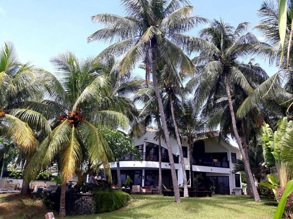 La Maison De La Plage - Guest House Albion Dış mekan fotoğraf