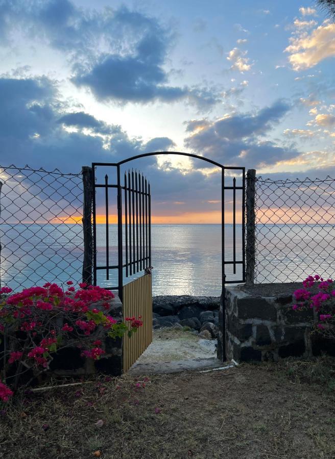 La Maison De La Plage - Guest House Albion Dış mekan fotoğraf